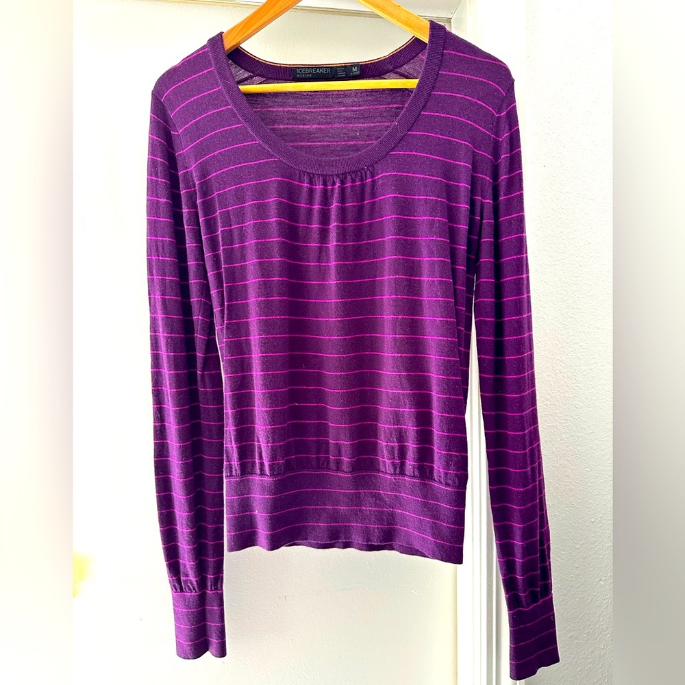 Ice Breaker merino wool sweater